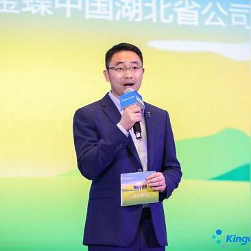 数字时代速度与变革，最新网页奇迹探索
