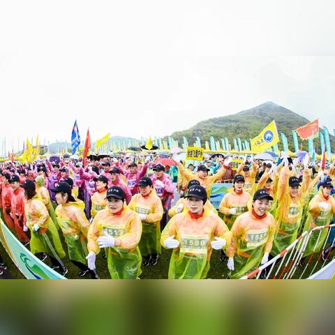 舟山船员招聘启航，职业航海梦扬帆出发