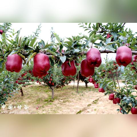 永登新闻快报，最新消息一览