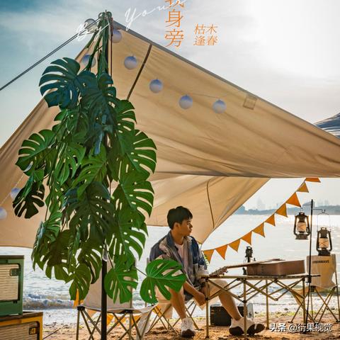 小米最新智能手机系列，科技与美学的震撼融合