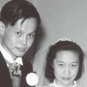 杨振宁最新动态，科学巨匠开启新征程